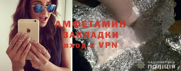 индика Няндома